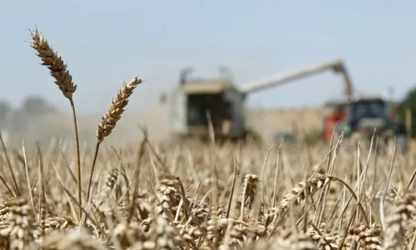 В 2023 году в Пензенской области планируют произвести не менее 2 млн 800 тысяч тонн зерна