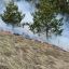 За сутки в Пензенской области более 40 раз загорались сухая трава и мусор