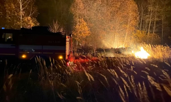 За сутки в Пензенской области потушили 2 лесных пожара