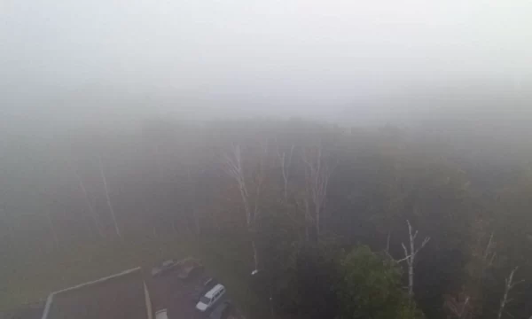 В Пензенской области ожидается плохая видимость из-за тумана