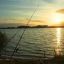 В Пензенской области введены ограничения на ловлю рыбы