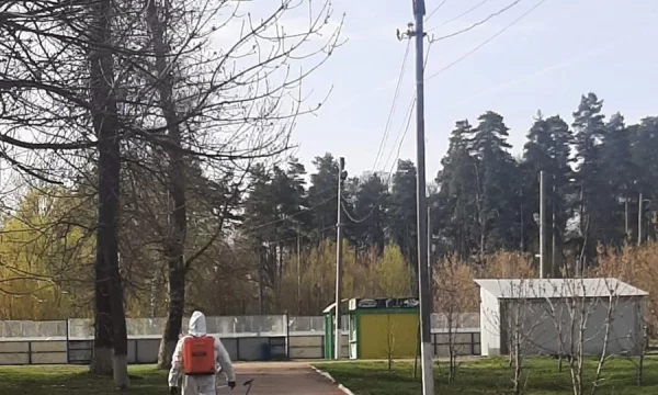 Сердобчанам стоит воздержаться от прогулок в парке  Берёзовая роща